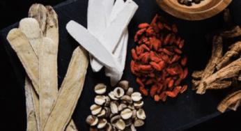 10 Best Herbs for Beginners