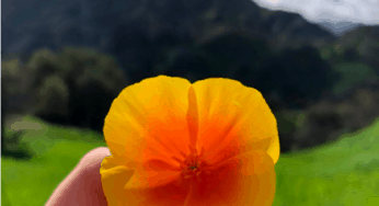 The Astrology of April 2019: Karmic Clearing
