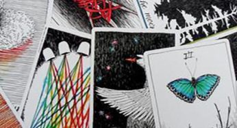 The Wild Unknown: An Interview with Kim Krans