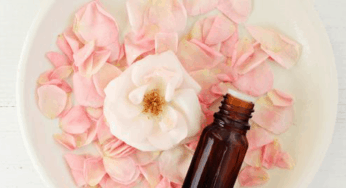 Top Ten Herbal Self Care Tips