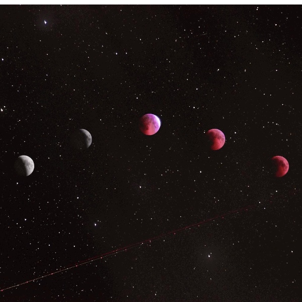 Cycles of the Moon