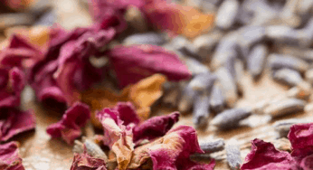 What is Self-Care?