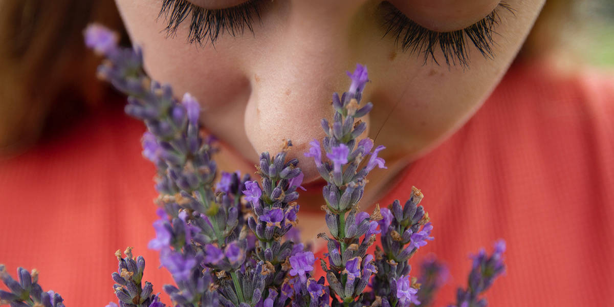 The Sense of Smell: An Entrance to Another “Reality”