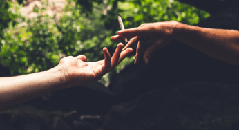 CBD’s Bioavailability: Why Does it Matter?