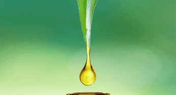 Cannabidiol CBD Oil Guide for Plant-Based Wellness