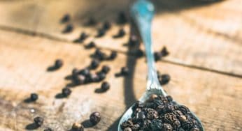 The Power of Plants: Phytocannabinoids