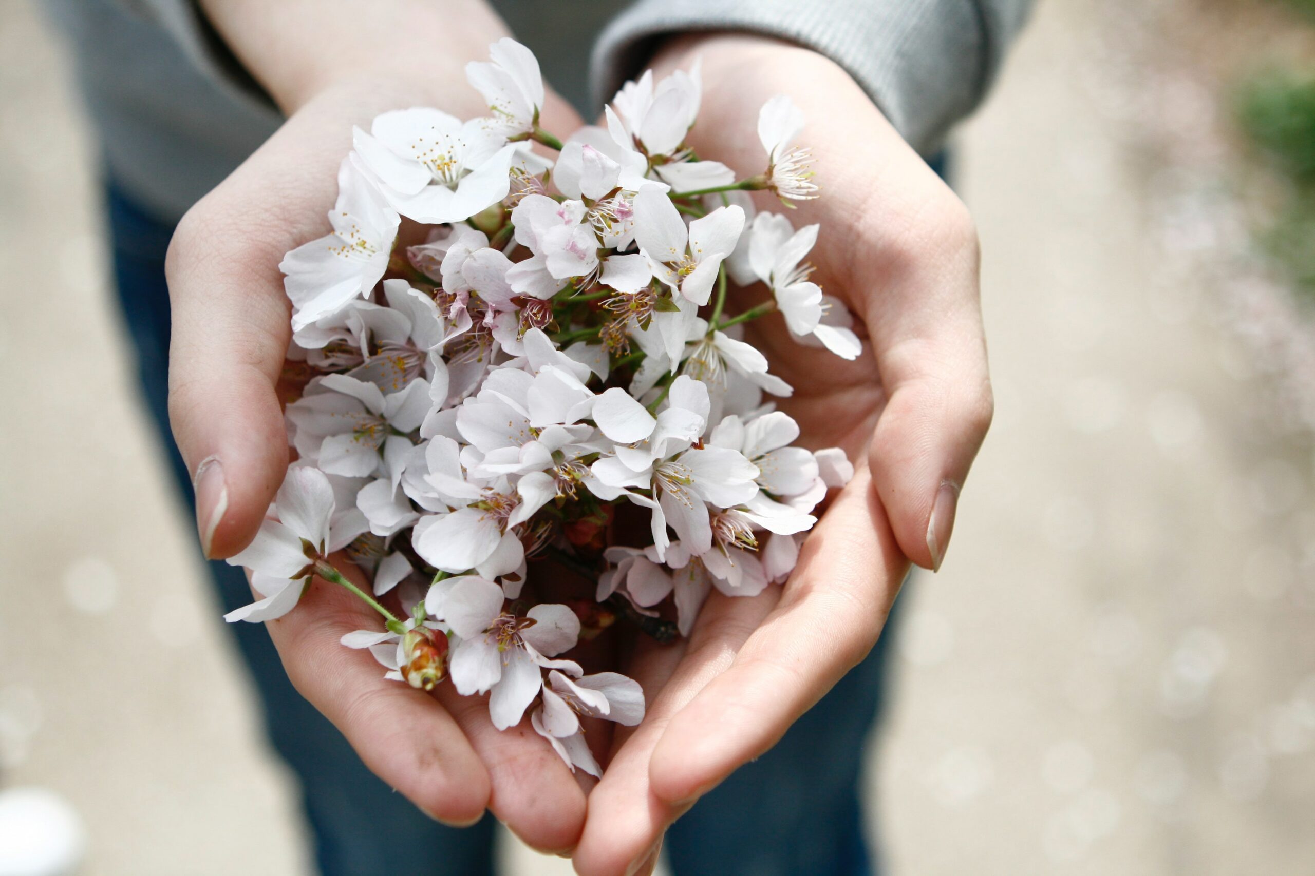 spring equinox