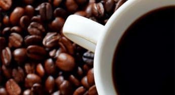 A Featherweight’s Guide to Coffee