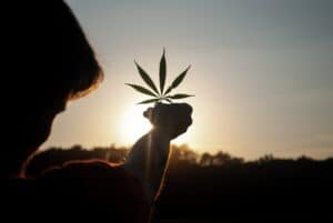 A man holding a cannabis leaf.