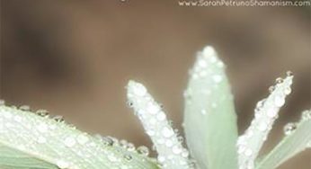 Smudging: The Importance of Setting Intentions