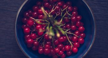 Strengthen Your Immunity Against COVID-19