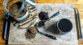 Chaga: The Beauty Secret Growing on Birch Trees