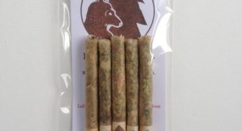 The Next Generation of Herbal Smokes