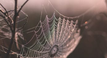 Protection Spell: Season of the Witch