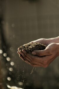 World Soil Day