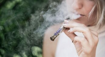 Spatial Alchemy: Changing Through Herbal Smoke