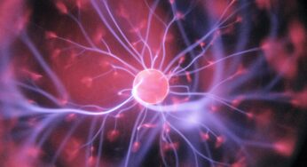 Neurogenesis: How Microdosing Helps Replenish Neurons