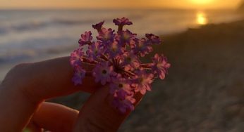 The Astrology of October 2019: Fear Becomes Love