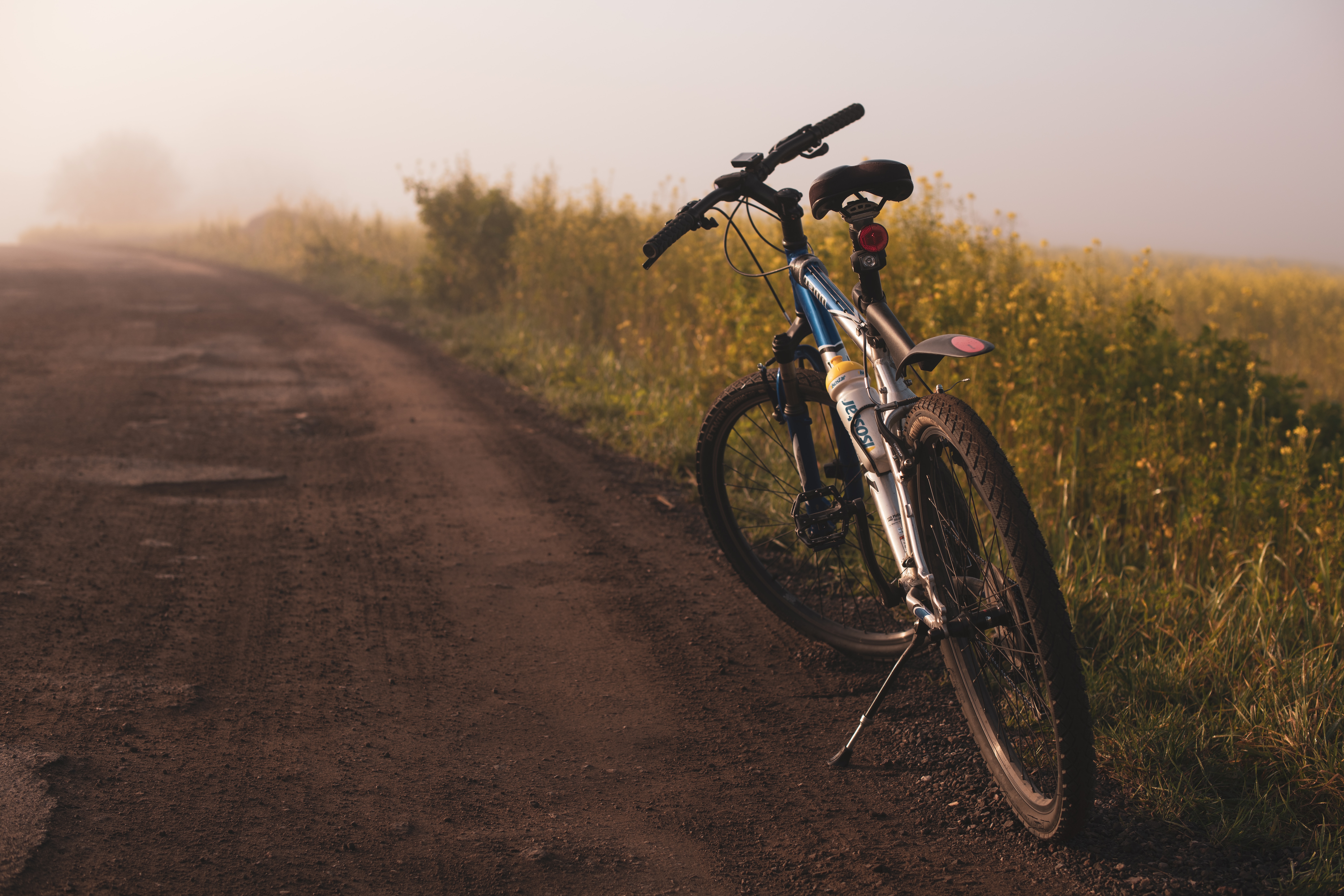bicycle day