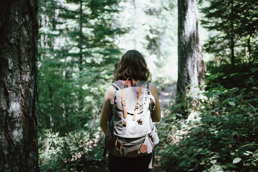 Wild Healers: Noticing The Beauty of So-Called Weeds