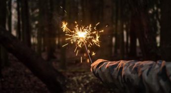 Celebrate Your Freedom: Three Easy Ways to Advocate for Plants and Plant Medicines