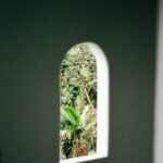 El Yunque through a window.