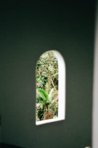 El Yunque through a window to reflect where my abuelita worked.