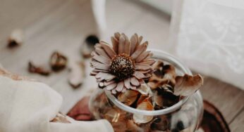 Surviving with Sense: Taste