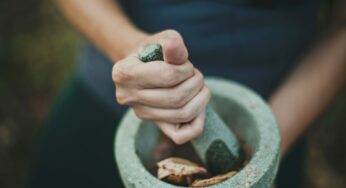 Feeding Nature’s Harmony with Adaptogens