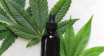 CBD Isolate vs Full Spectrum: Key Differences