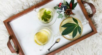 The Many Benefits of Water-Soluble CBD