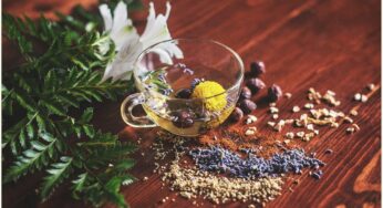 Herbal Alternatives to Alcohol: Excerpt from “Naturally”