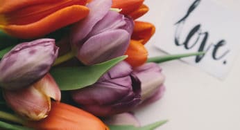 Three Women on Love, Sex and Plants