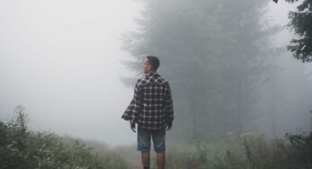 Clearing Brain Fog with Herbal Medicine