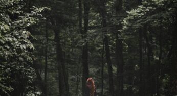 9 Essential Tips for Slowing Down and Living Intentionally