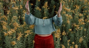 Herb Profile: Goldenrod