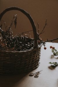 A foraging basket with twigs.