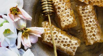 The Honeyed Life: Discover the Holistic Benefits of Beeswax and Honey