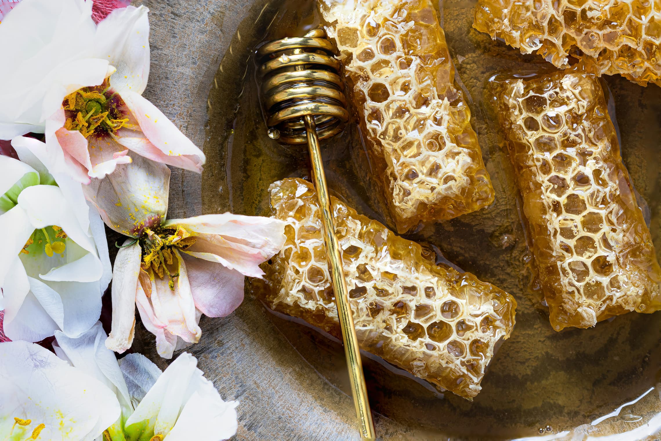 The Honeyed Life: Discover the Holistic Benefits of Beeswax and Honey