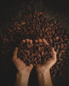 Cacao beans