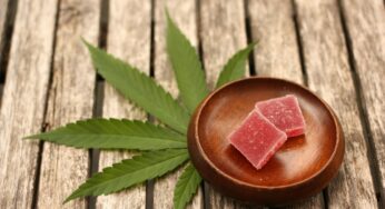 Edible Revolution: Why Edibles Are Taking Over The Substance Scene