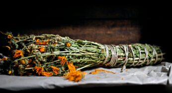 The Beauty and Health Benefits of Calendula