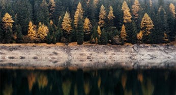 The Wampanoag Side of the First Thanksgiving Story