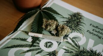 Cannabis in Palliative Care