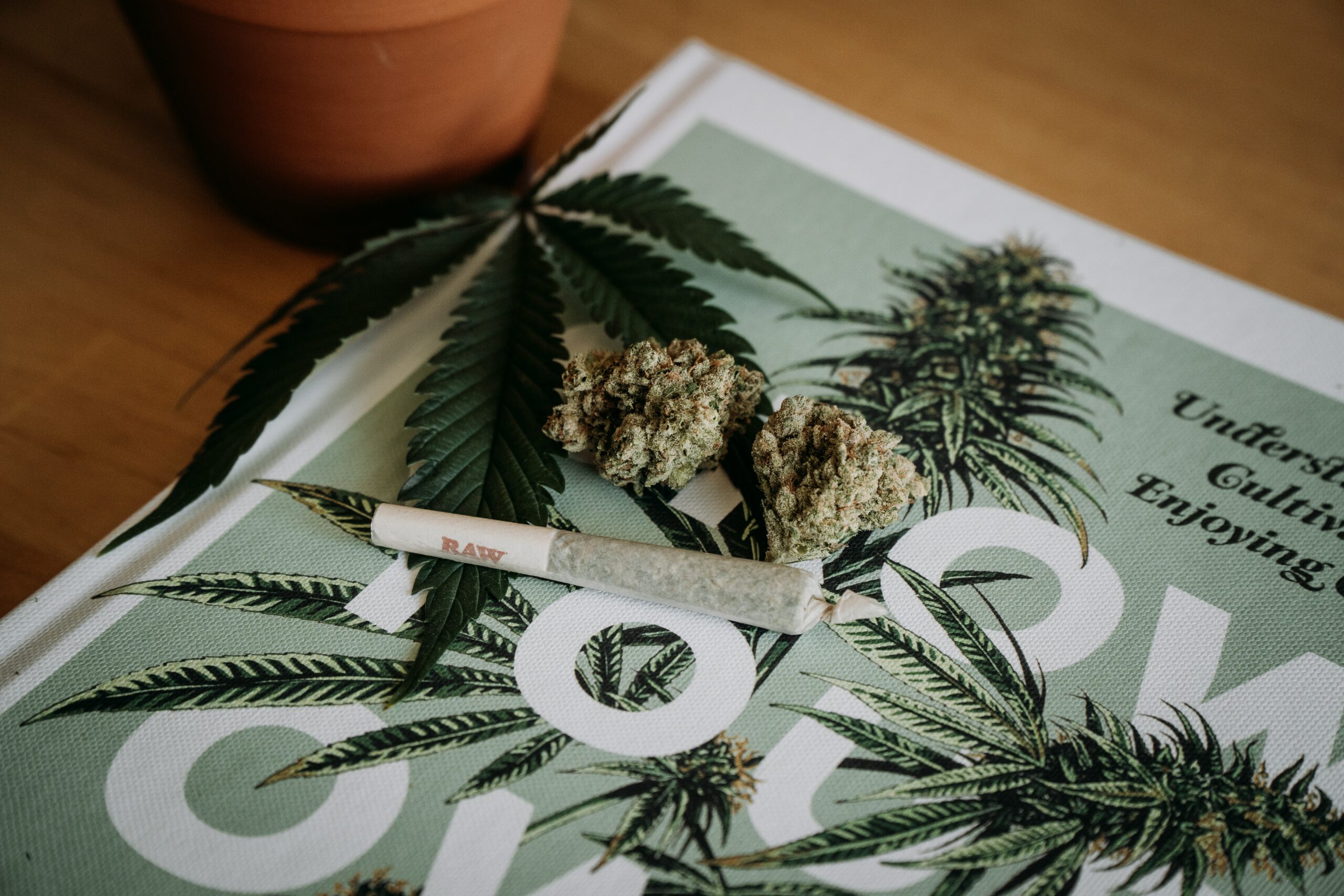 Cannabis in Palliative Care