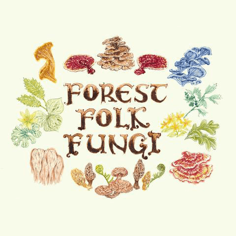 The Spiritual Side of Mushrooms: Interview with Forest Folk Fungi