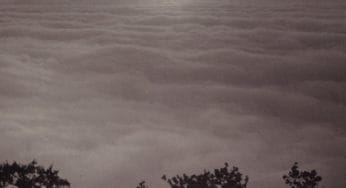 Total Solar Eclipse in Cancer: Opening an Emotional Portal