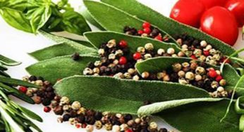 What Makes Food Different from Herbs