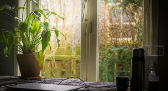 Non-Alcoholic Movement: Sobriety and Clarity