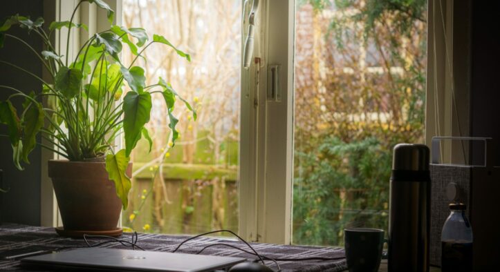 Non-Alcoholic Movement: Sobriety and Clarity